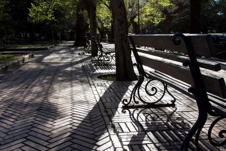 trecchina_basilicata_06