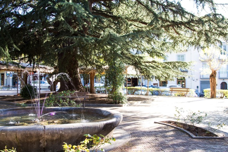 trecchina_basilicata_07