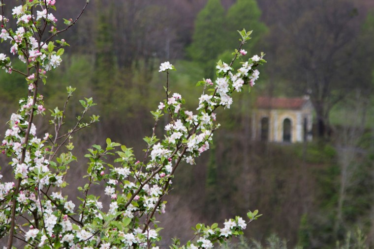 trecchina_basilicata_22
