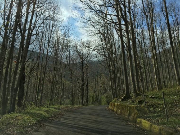trecchina_basilicata_39
